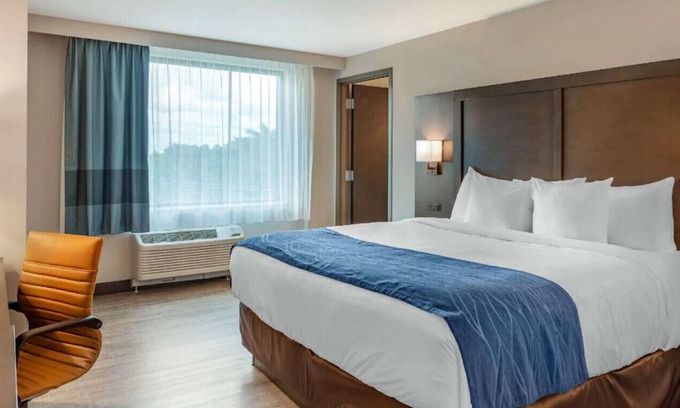 Miami Springs House | Pleasant Suite! Nice Amenities, Bar & Gym!