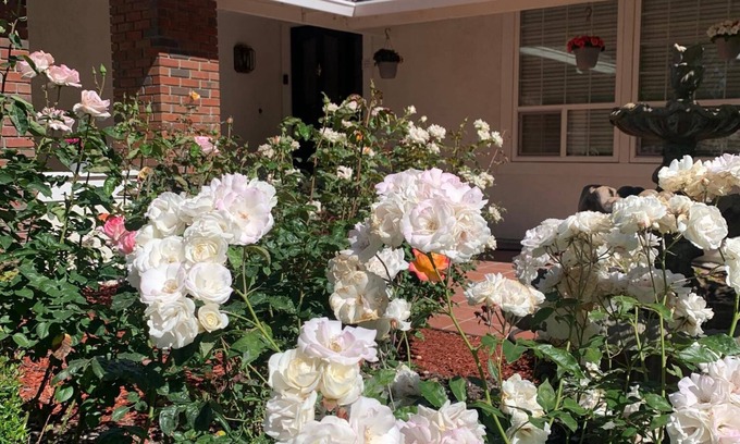 Pleasanton House | Pleasanton Gem: Entire House 4 Beds/Bonus RM! Convenient to BART & Shopping!