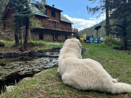Tererro Cabin | Ponderosa Main Lodge at Vida Bonita Pecos