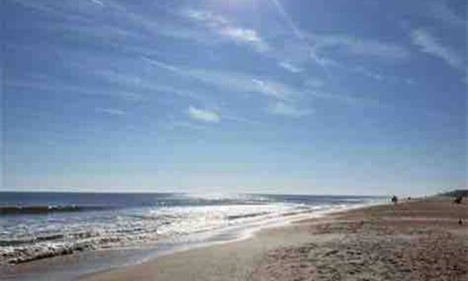 Dolphin's Cove House | Pool, Pet Friendly Home close to Mayo, TPC & Beach