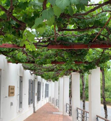 Calitzdorp Bed & Breakfast | Port Wine Guesthouse
