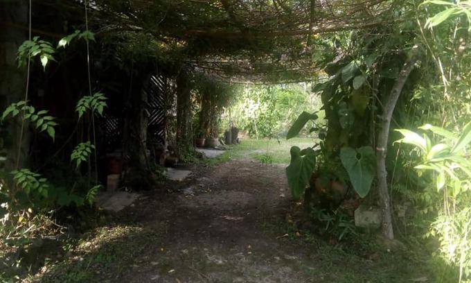 Siguatepeque Cabin | Posada El Malcotal