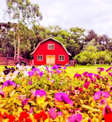 Pirai Do Sul House | Pousada Sitio Campina da Casa