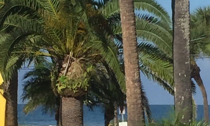 Clearwater Beach House | PRIVATE COTTAGE OCEAN VIEW 44 PACES TO BEACH, CLOSE TO RESTAURANTS AND SHOPS