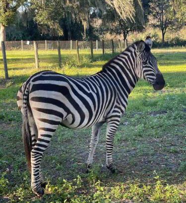 Pierson House | Private Farm with Beach Near St Johns River