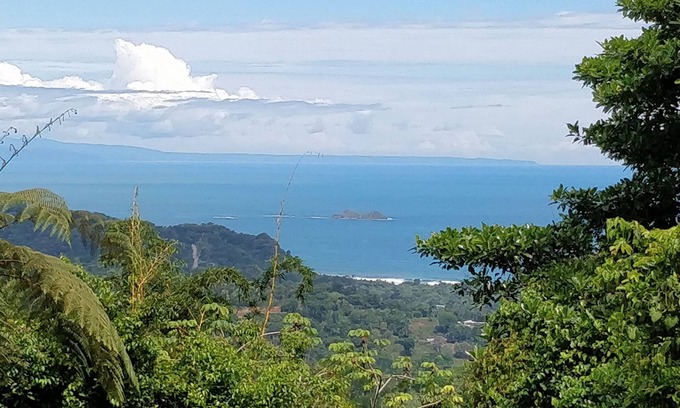 Ballena House | Private Jungle Retreat - Experience Nature W/Comfort