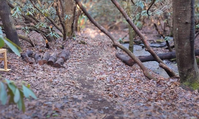 Hayesville House | Private, newly renovated Cottage Near Mountains, Nat'l Parks, and Lake Chatuge