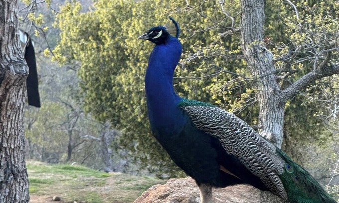 Squaw Valley House | Private RV - WiFi, AC, Smart Fire TV - Near Sequoia & Kings Canyon NP - Sleeps 5