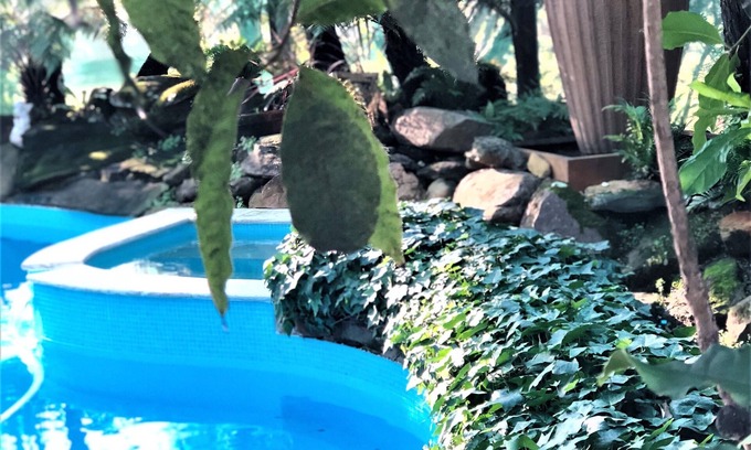 Sutton Forest House | Private Suite in Resort Estate: pool/spa/tennis/billiards/fireplace/sauna/cellar