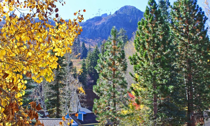 Olympic Valley Condo | PT Lodge: Ski-in/out Studio plus Loft with full-size refrig,