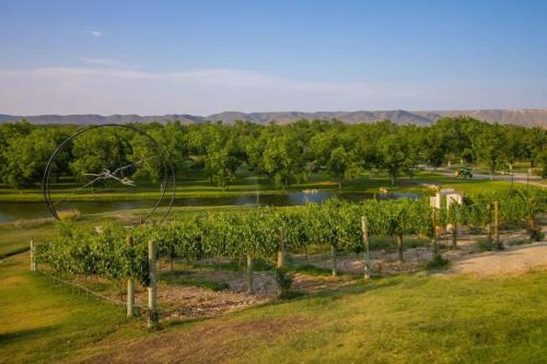 Parras de la Fuente Villa | Pueblo Vinícola Parvada by Lumina