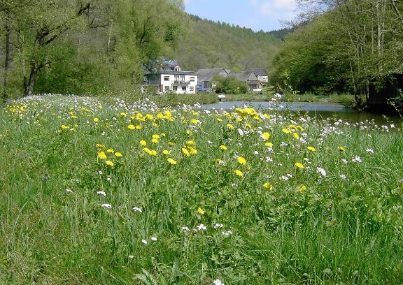 Altstrimmig Apartment | Pulgersmühle
