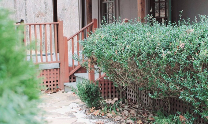 Toccoa Cottage | Quaint Secluded 3BR/2BA Cottage w/Fire Pit