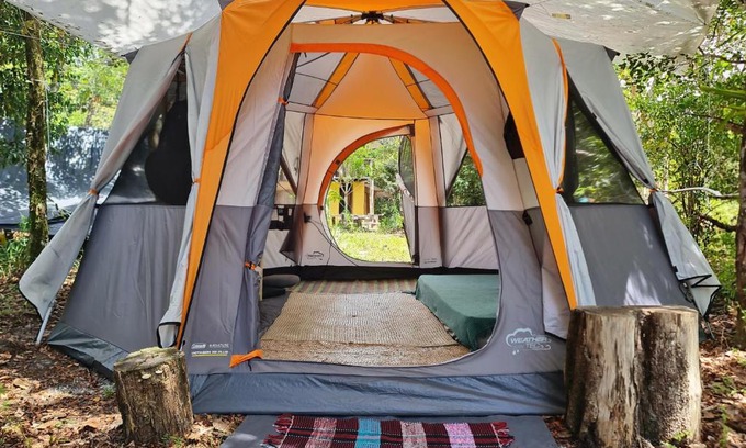 Itacare Other | Que Brota Do Chão