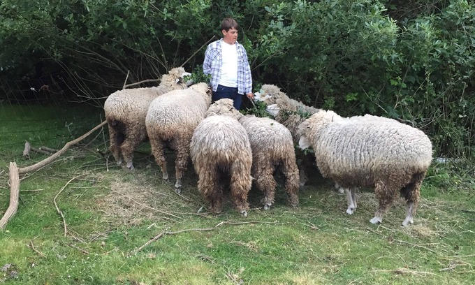 Jacoby Creek Cottage | Quiet Arcata Hideaway