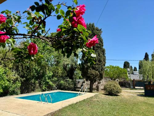 Junin Apartment | Quinta Las Rosas - La Chiqui