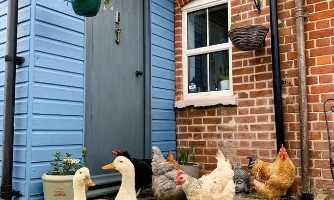 Rendlesham Cottage | Quirky Victorian Farm Cottage Next to Rendlesham Forest and Close to the Beach