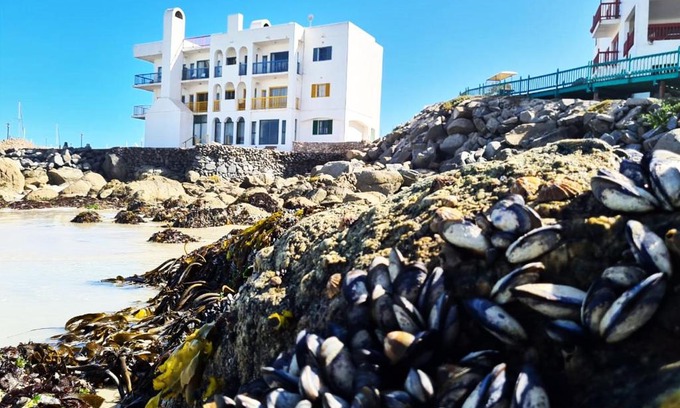 Mykonos Apartment | Raaswater Langebaan Self Catering