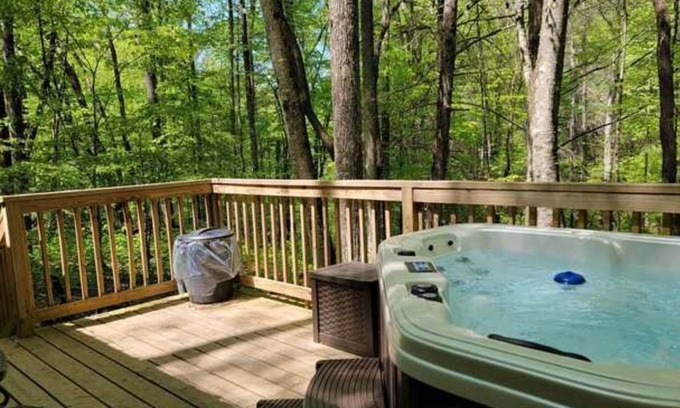 Suches Cottage | Raccoon's Nook Tiny Home