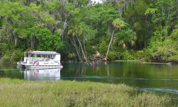 Dunnellon House | Rainbow River Home - Directly on Main Dive Springs