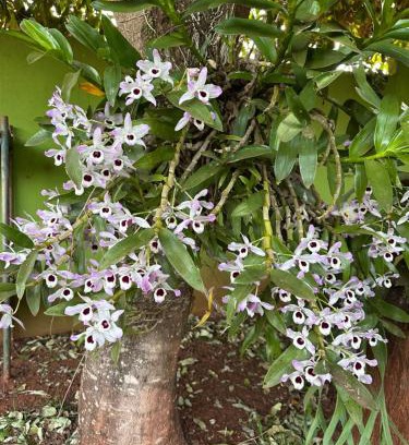 Bariri Villa | Rancho Vale do Tietê