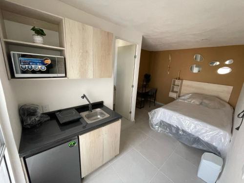 Leon Apartment | RC Studio loft san Jerónimo