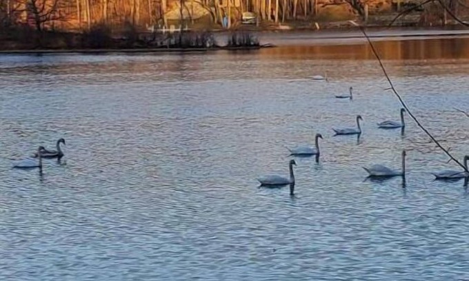 Syracuse Cabin | Red Cottage - Papakeechie - Secluded - Swim - Bonfires - Fish - Relax