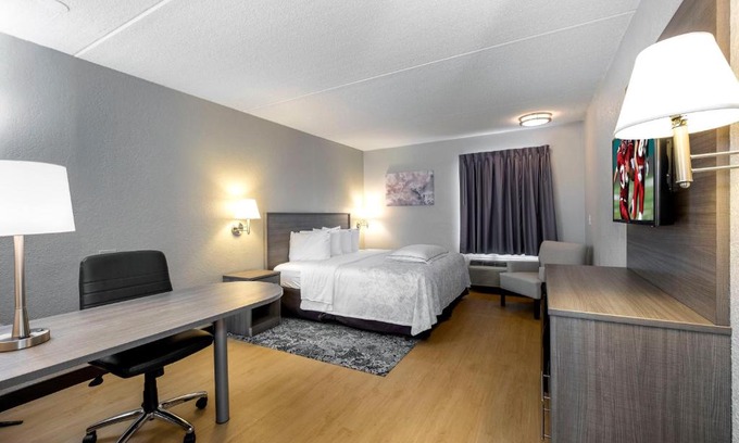 Mansfield Hotel | Red Roof Inn PLUS Boston - Mansfield - Foxboro