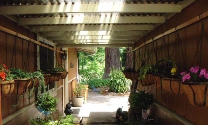 Rio Dell House | Redwoods on the River!