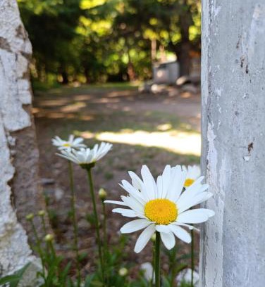 Tunuyan Other | Refugio La Cruz