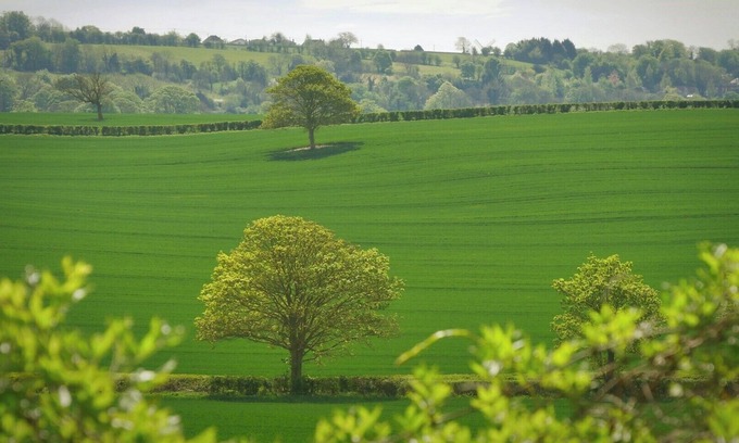 Davenport House | Relax in airy Davenport