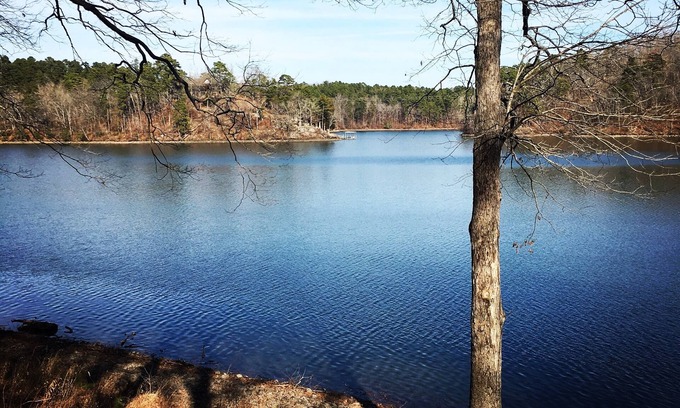 Jones Mills House | Relaxing Retreat on Lake Catherine in Hot Springs! Private Dock! Golf!