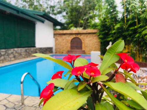 Dodangoda Hotel | Resolve Garden Hotel