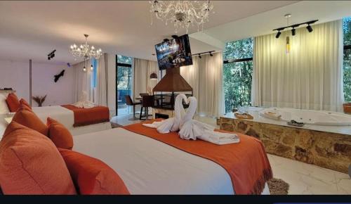 Monte Verde Resort | Resort Magnifico