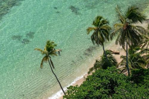 Villas Del Mar Apartment | Resort Villas 2BR Apt | Pool & Beach Access