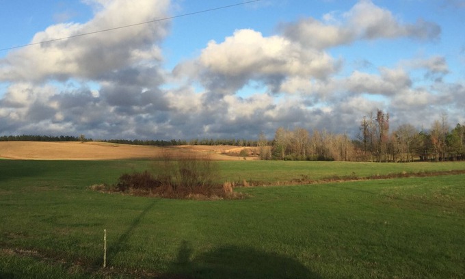 Colbert House | RETREAT 15 mins to Arch-$50 Uber card- w pool & hot tub