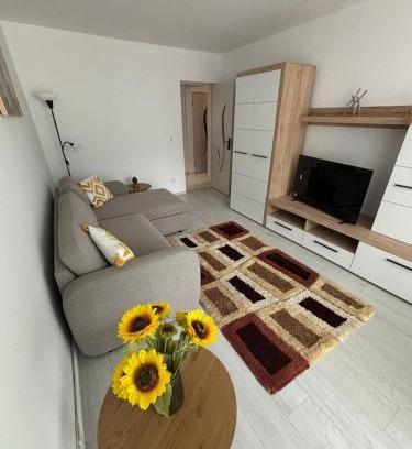 Tirgu Mures Apartment | RH Mures Stay