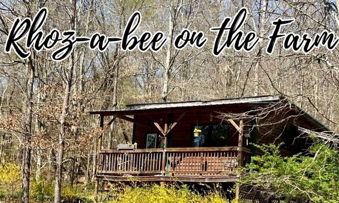 Wildwood Cabin | Rhoz-A-Bee's on The Farm
