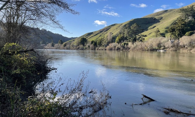 Duncans Mills Cottage | Riverfront cottage w/hot tub, lush gardens, privacy & river access, pets ok!