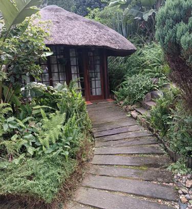 Ethekwini Apartment | Robin's Thatch Studio- bush camp in the suburbs-sleeps 2