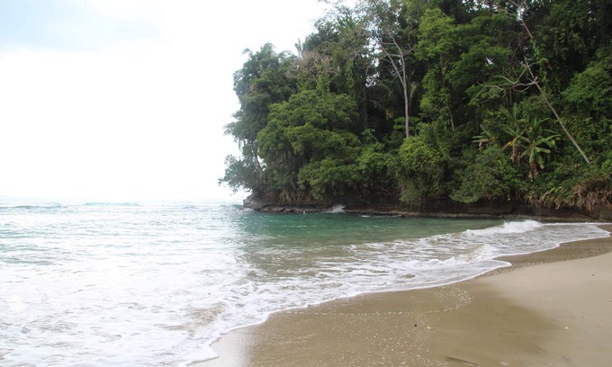 Puerto Viejo de Talamanca Cottage | Romantic Ocean View Jacuzzi Suite Nature Lovers Paradise