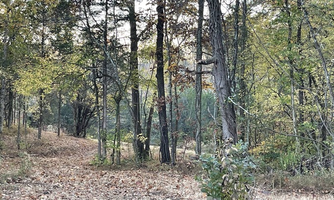 Lebanon House | Romantic Farm with Beautiful Views Close to Nashville in Lebanon Tennessee