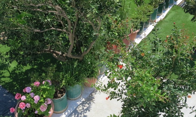 Pitrofos House | Room-andoni's House in Pitrofos Andros i