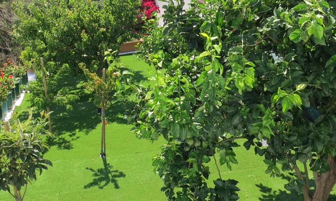 Pitrofos House | Room-andoni's House in Pitrofos Andros i