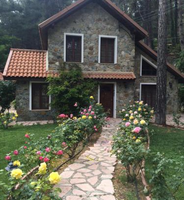 Platres Villa | Rose Garden Platres