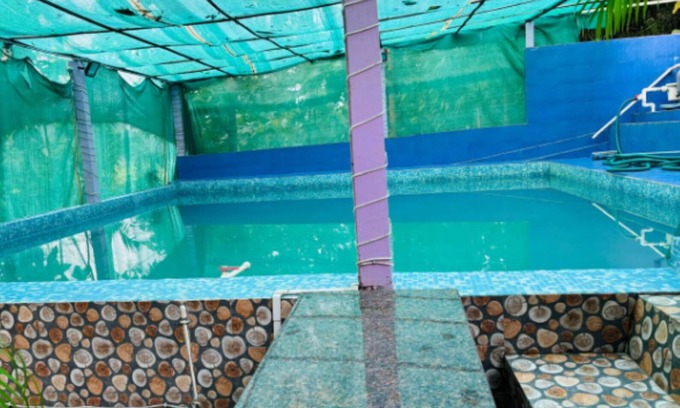 Nagaon Resort | Royal Mandala Resort