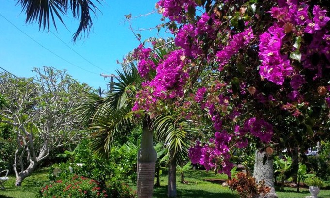 Pembroke Hotel | Royal Palms Hotel