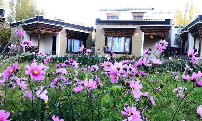 She Hotel | Royal Soma Resort