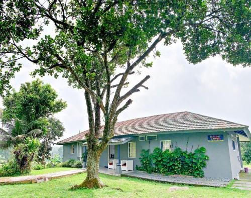 Cisarua Villa | Rumah Selasar Sawah