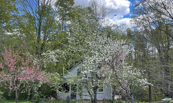 New London Cottage | Rustic cottage on brook